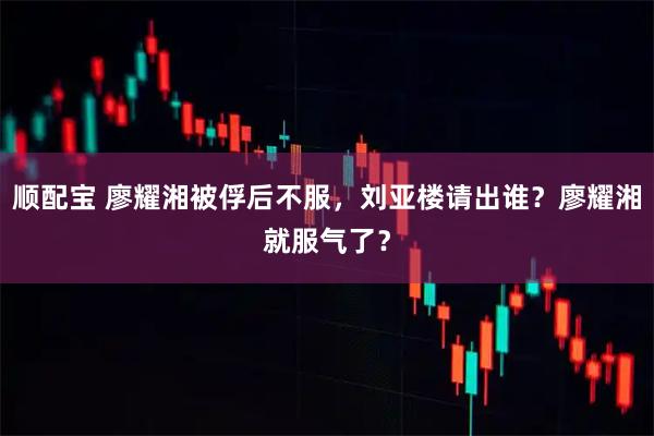 顺配宝 廖耀湘被俘后不服，刘亚楼请出谁？廖耀湘就服气了？