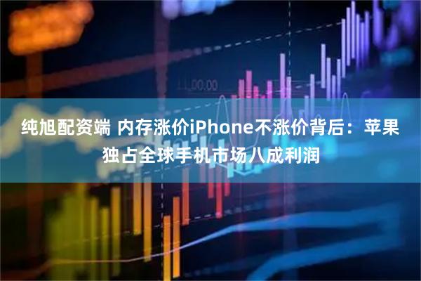 纯旭配资端 内存涨价iPhone不涨价背后：苹果独占全球手机市场八成利润